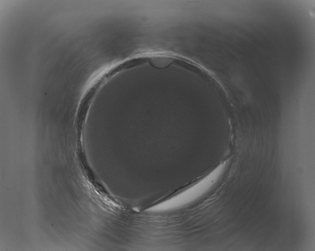 X0000076431319200610161142