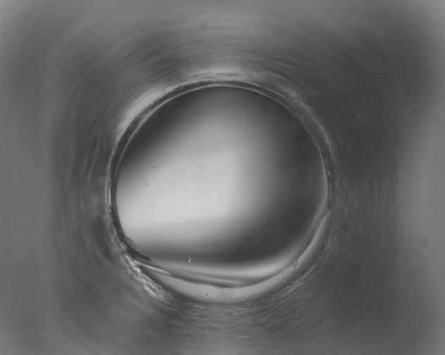 X0000076431328200610161142