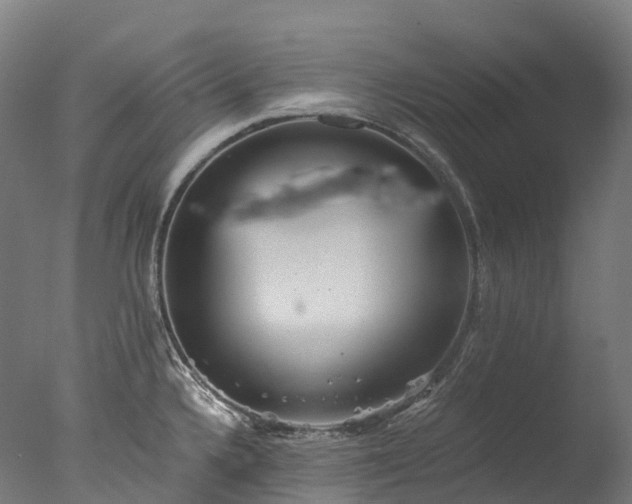 X0000076431336200610161142