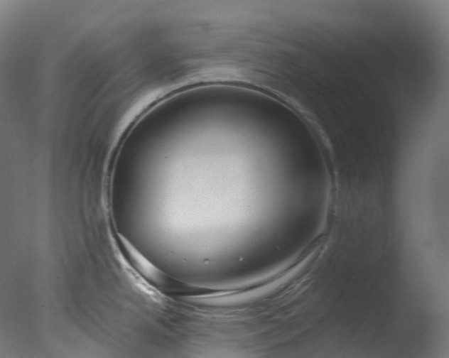 X0000076431342200610161143
