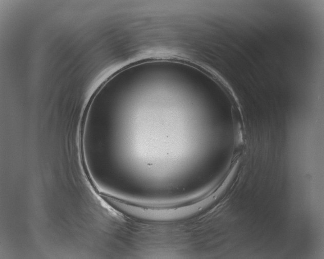 X0000076431343200610161143