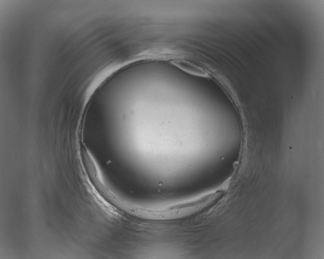 X0000076431344200610161143