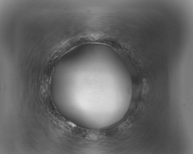 X0000076431349200610161142