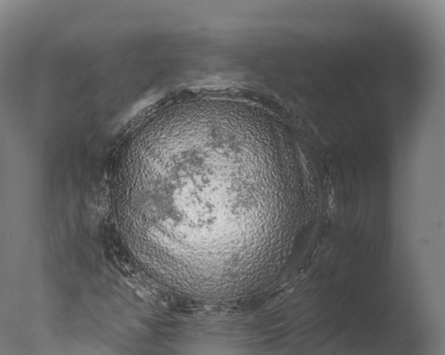 X0000076431350200610161142