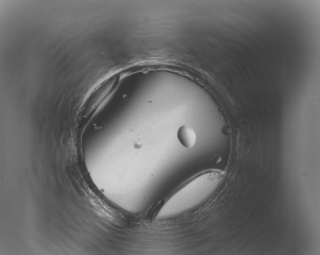 X0000076431356200610161142