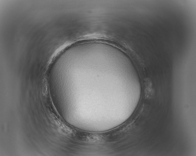 X0000076431358200610161142