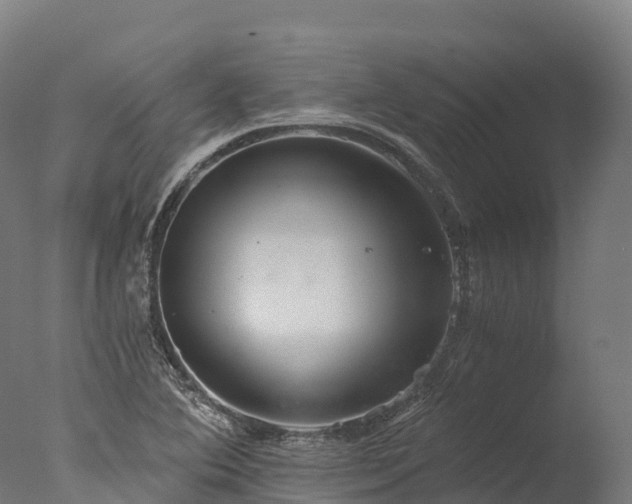 X0000076431364200610161141