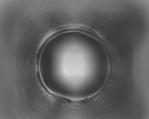 X0000076431368200610161141