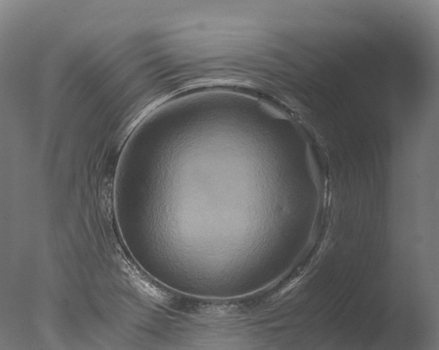 X0000076431369200610161141