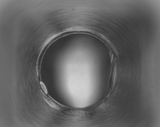 X0000076431372200610161141