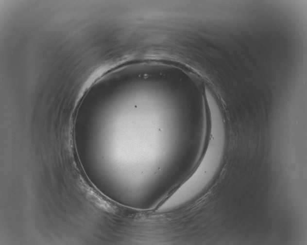 X0000076431374200610161141