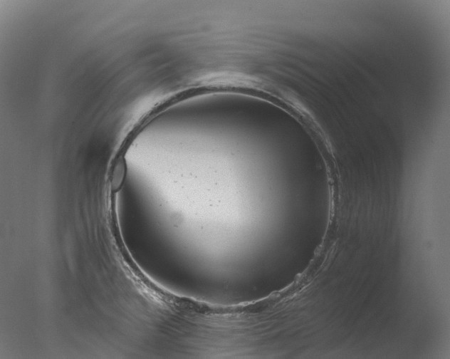 X0000076431376200610161141