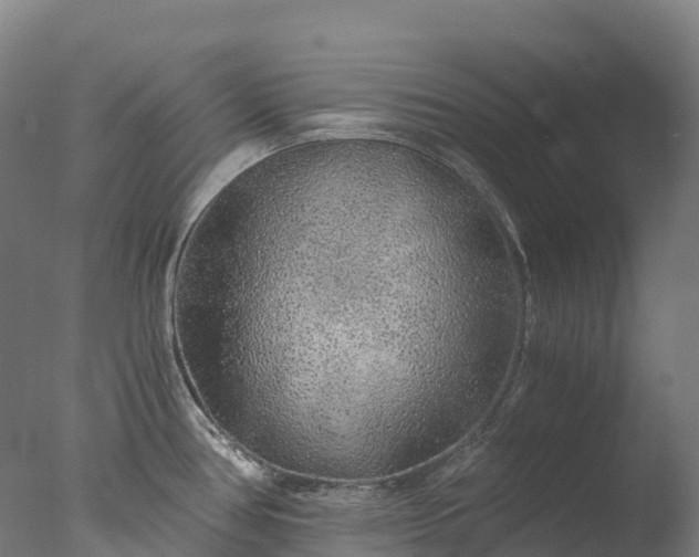 X0000076431386200610161141