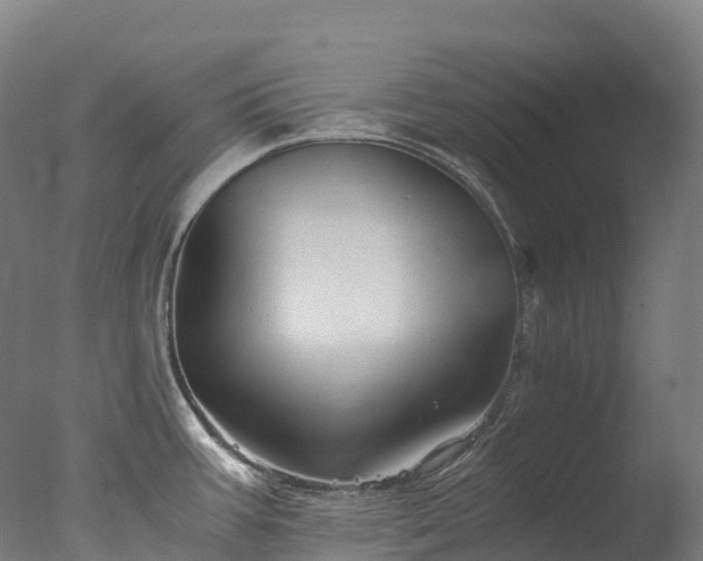 X0000076431387200610161141