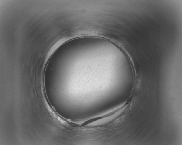 X0000076431389200610161141