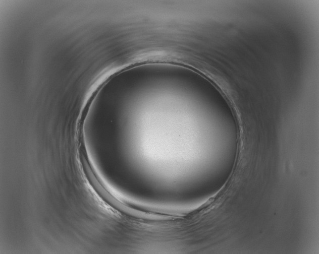 X0000076431392200610161141