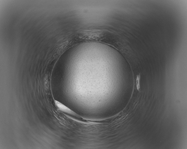 X0000076431395200610161140