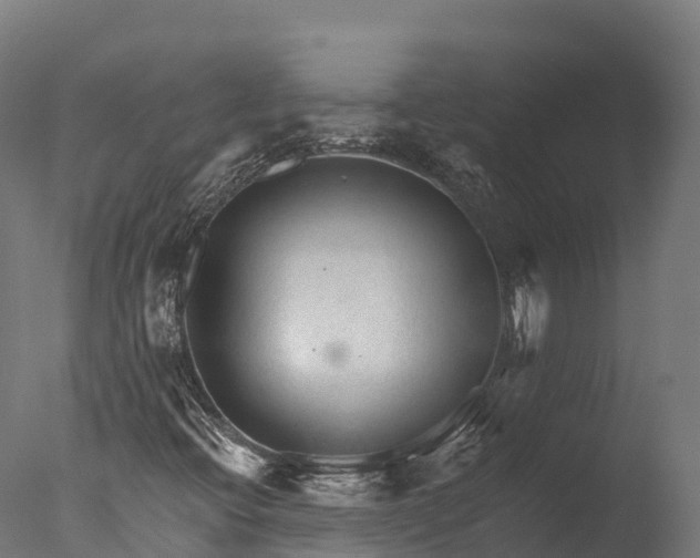 X0000076431396200610161140
