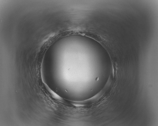 X0000076431398200610161140