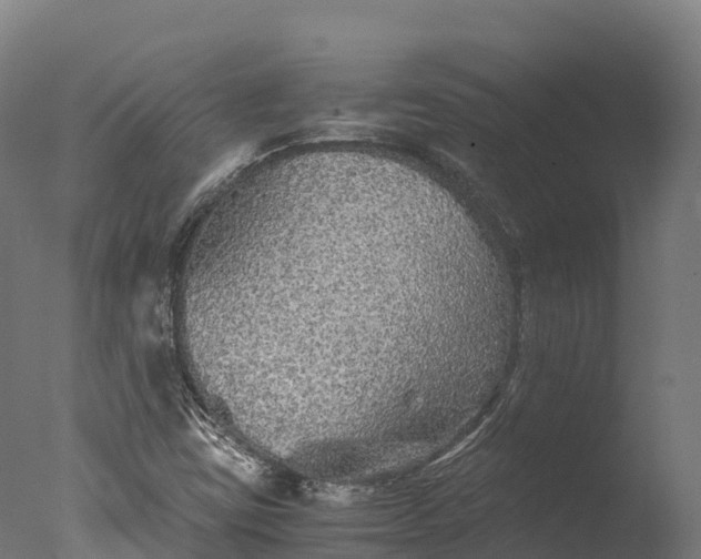 X0000076431403200610161140