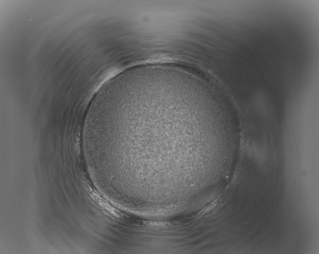 X0000076431409200610161140