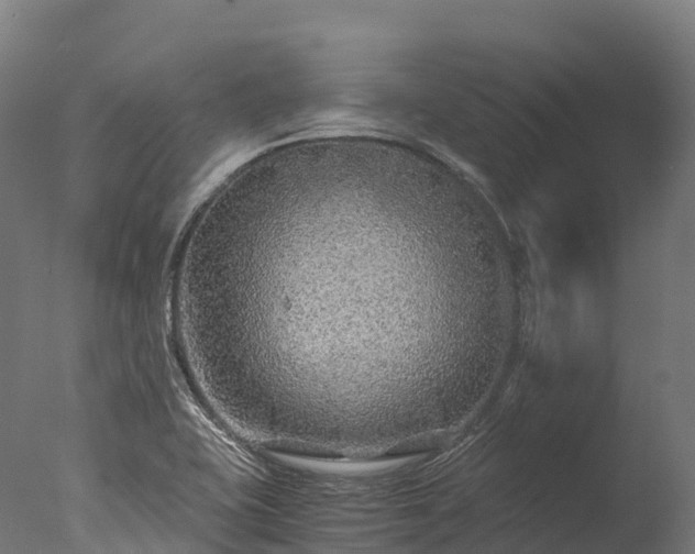 X0000076431415200610161141