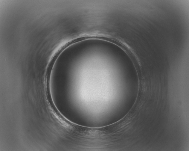 X0000076431416200610161141