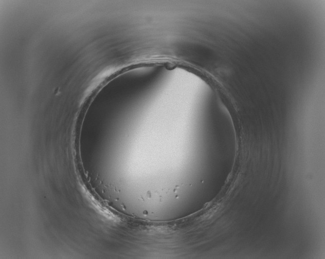 X0000076431422200610161141