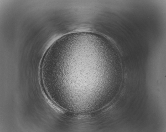 X0000076431423200610161141