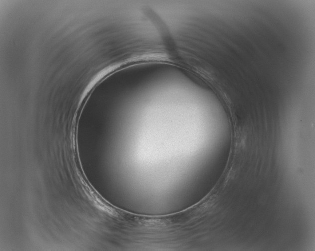 X0000076431436200610161141