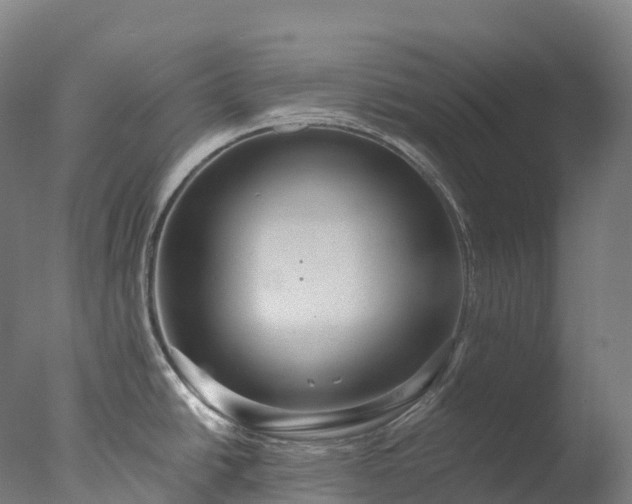 X0000076431438200610161141