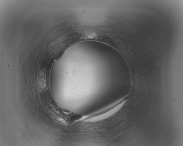 X0000076431442200610161140