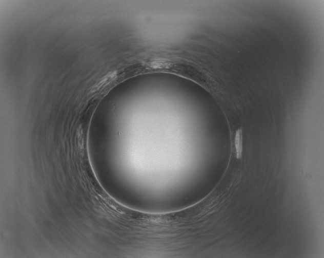 X0000076431443200610161140