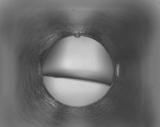 X0000076431444200610161140