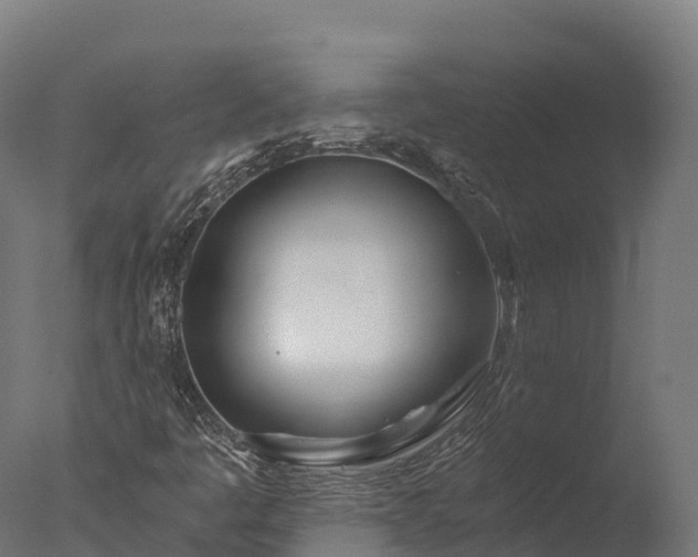 X0000076431445200610161140