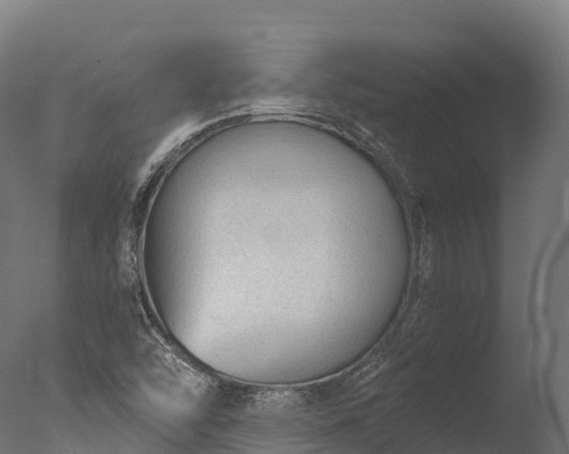 X0000076431454200610161140