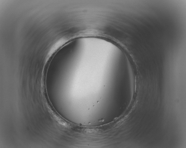 X0000076431469200610161140
