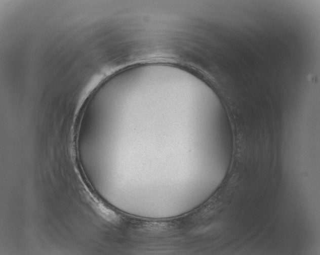 X0000076431470200610161140