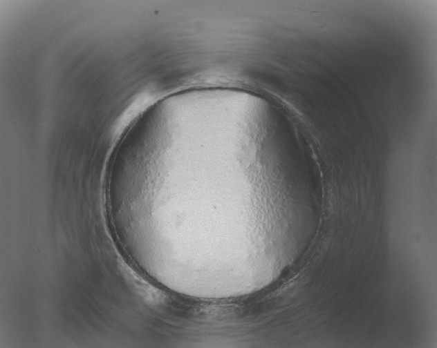 X0000076431471200610161140