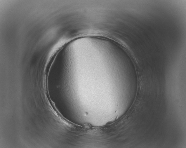 X0000076431472200610161140