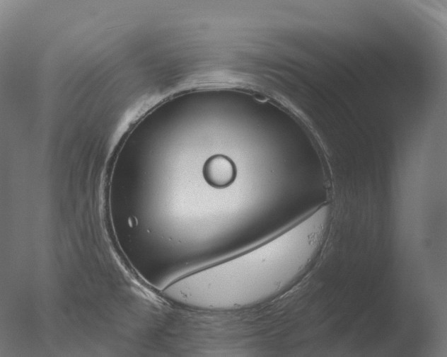 X0000076431477200610161140