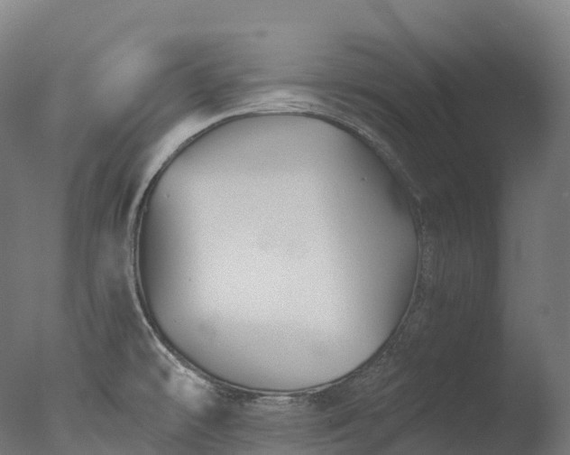 X0000076431478200610161140
