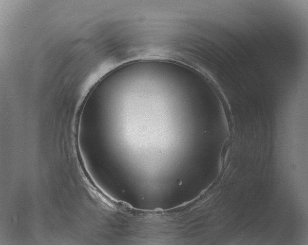 X0000076431480200610161140