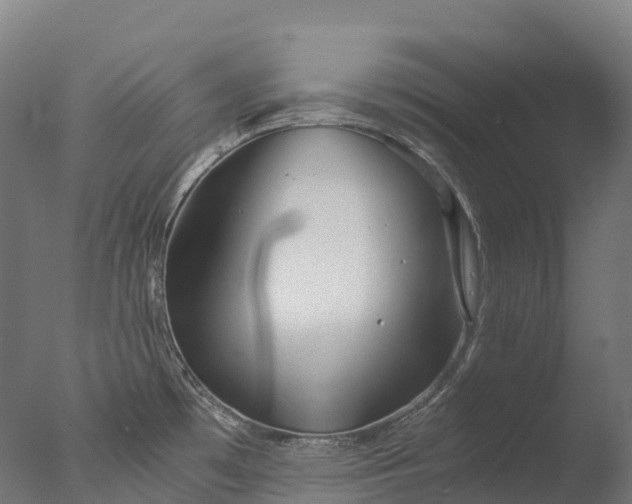 X0000076431481200610161140