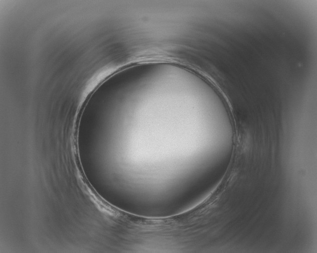 X0000076431485200610161139