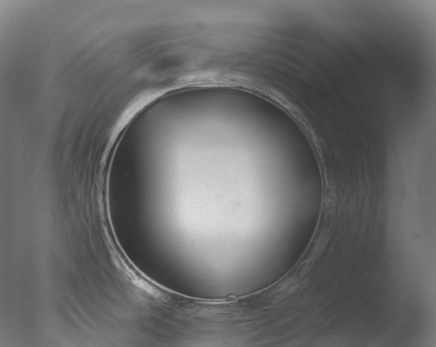 X0000076431486200610161139