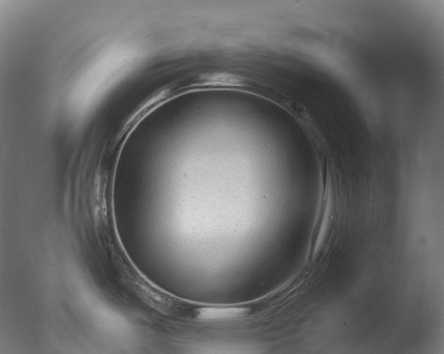 X0000076431487200610161139