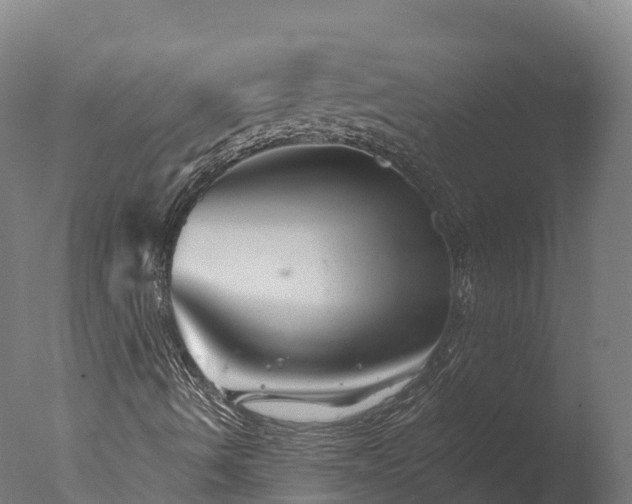 X0000076431490200610161139