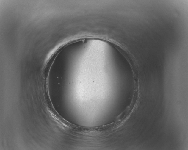 X0000076431502200610161139