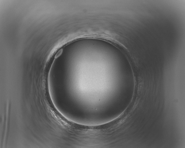 X0000076431506200610161139